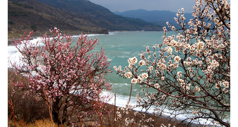 Отдых в Крыму весной 2024 года: цветы, фотосессии и бесплатные музеи